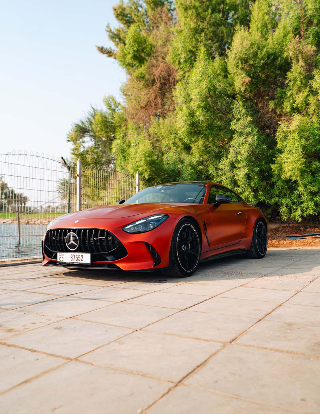amg-8