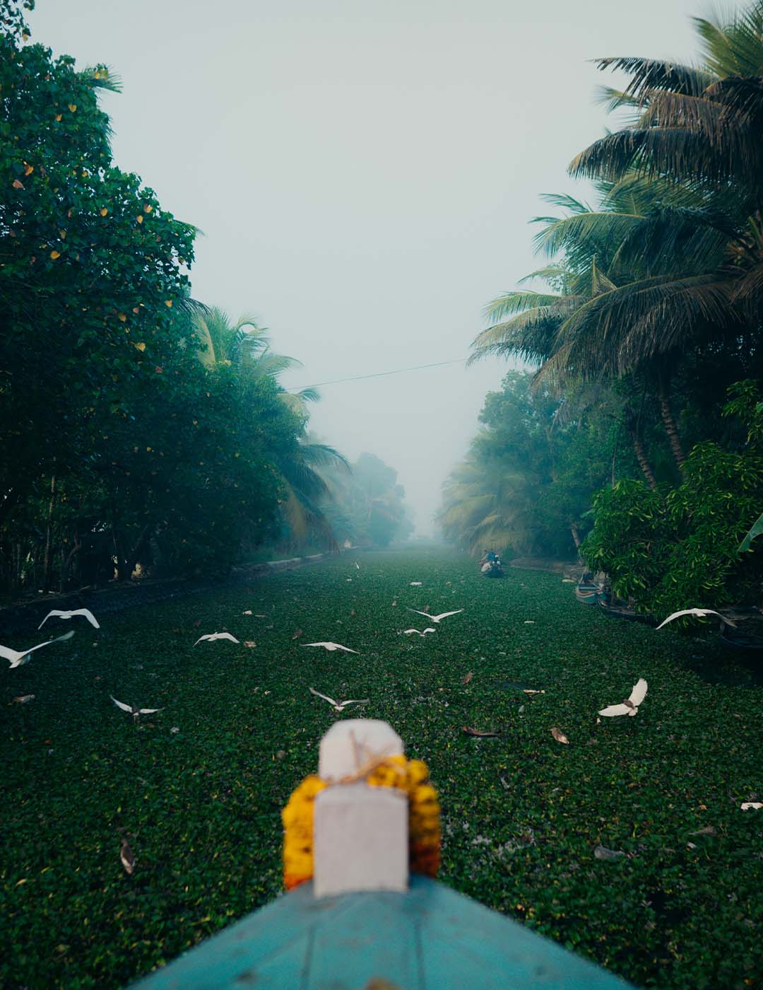 india-4