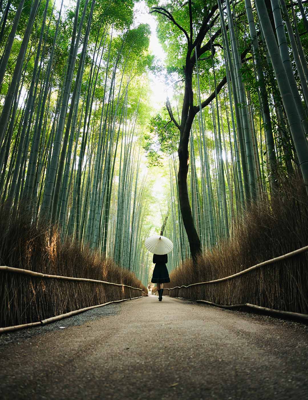japan-102