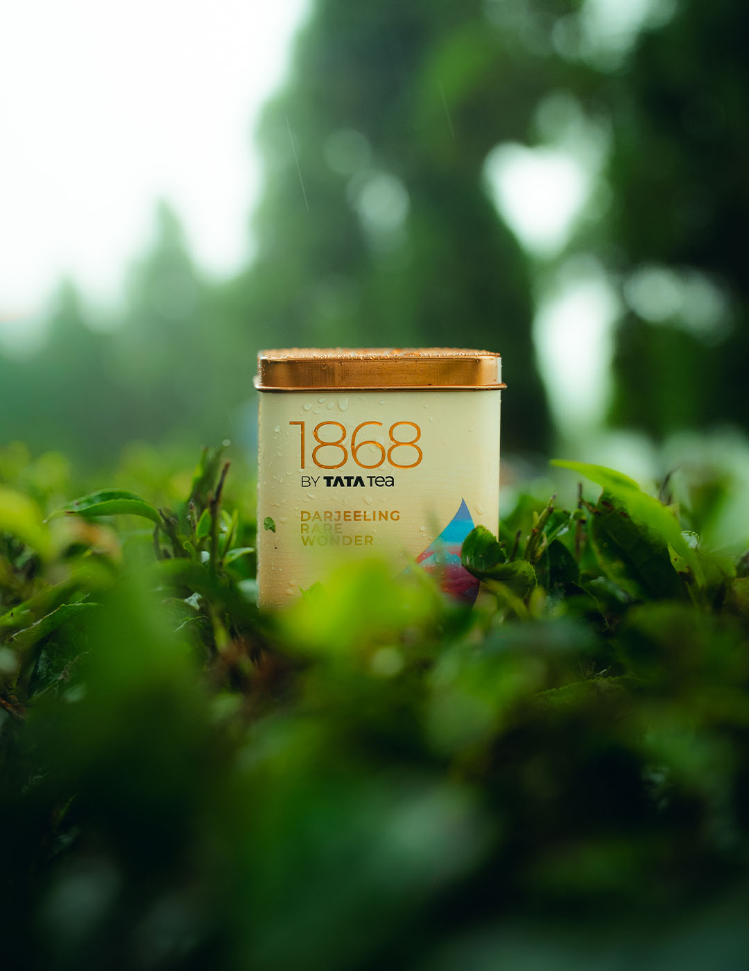 tata-tea-10